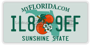 IL89EF license plate in Florida