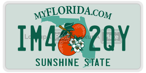 IM42QY  license plate in FL