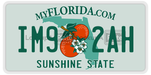 IM92AH  license plate in FL