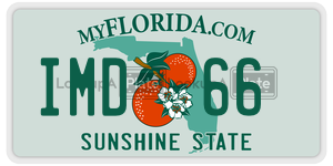 IMD66  license plate in FL