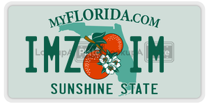 IMZIM  license plate in FL