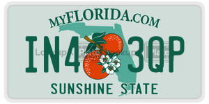 IN43QP  license plate in FL