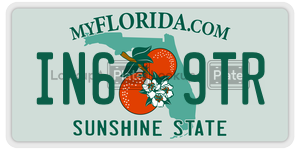 IN69TR  license plate in FL