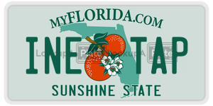 INETAP  license plate in FL
