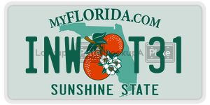 INWT31  license plate in FL