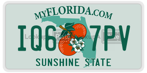 IQ67PV  license plate in FL