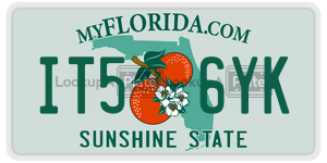 IT56YK license plate in Florida