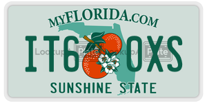 IT60XS  license plate in FL