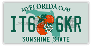IT66KR license plate in Florida