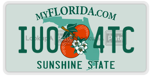 IU04TC  license plate in FL