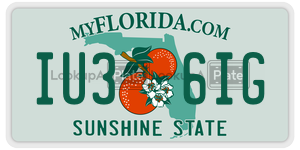 IU36IG license plate in Florida