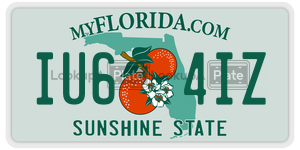 IU64IZ license plate in Florida