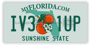 IV31UP  license plate in FL