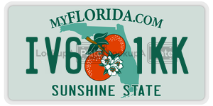 IV61KK  license plate in FL