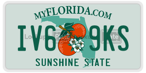 IV69KS license plate in Florida