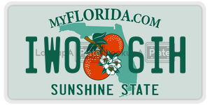 IW06IH license plate in Florida