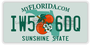 IW56DQ  license plate in FL