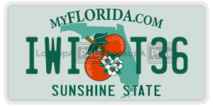 IWIT36  license plate in FL