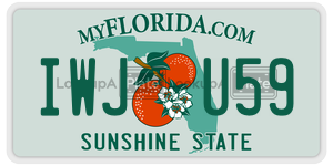 IWJU59 license plate in Florida