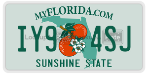 IY94SJ  license plate in FL