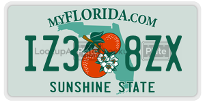 IZ38ZX license plate in Florida