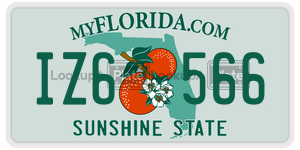 IZ6566 license plate in Florida