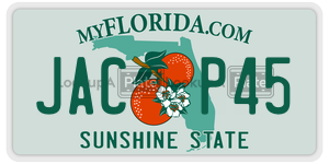 JACP45  license plate in FL