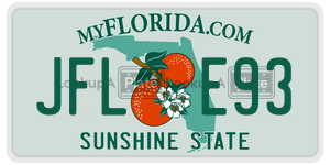 JFLE93  license plate in FL