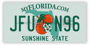 JFUN96  license plate in FL