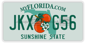 JKXG56 license plate in Florida
