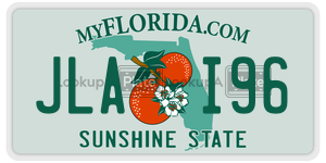 JLAI96  license plate in FL