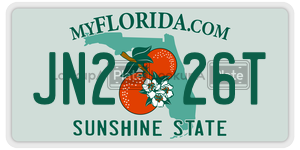 JN226T  license plate in FL