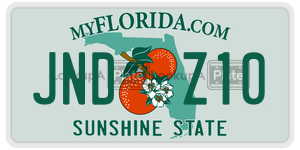 JNDZ10  license plate in FL