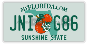 JNIG86 license plate in Florida