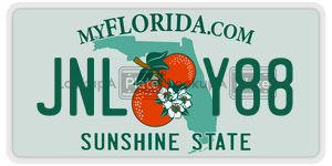 JNLY88 license plate in Florida