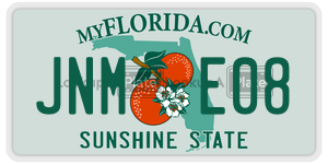 JNME08  license plate in FL