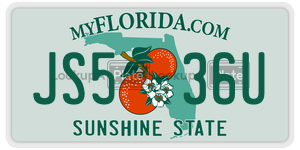 JS536U  license plate in FL