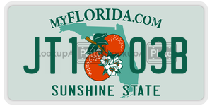 JT103B license plate in Florida