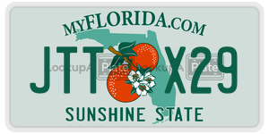 JTTX29  license plate in FL
