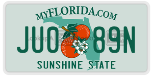 JU089N  license plate in FL