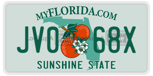 JV068X  license plate in FL