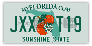 JXXT19  license plate in FL