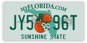 JY596T  license plate in FL