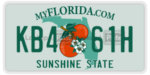 KB461H  license plate in FL