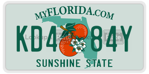 KD484Y  license plate in FL