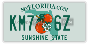 KM76Z license plate in Florida