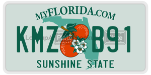 KMZB91 license plate in Florida
