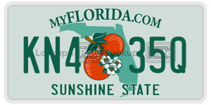 KN435Q  license plate in FL