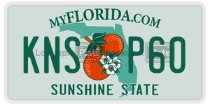 KNSP60  license plate in FL