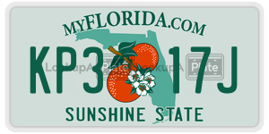 KP317J  license plate in FL